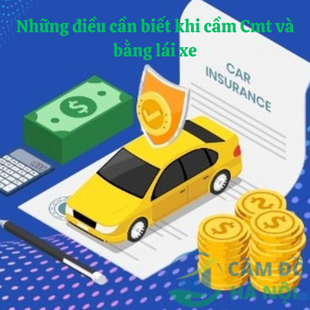 Những Điều Cần Biết Khi Cầm Cmt Và Bằng Lái Xe