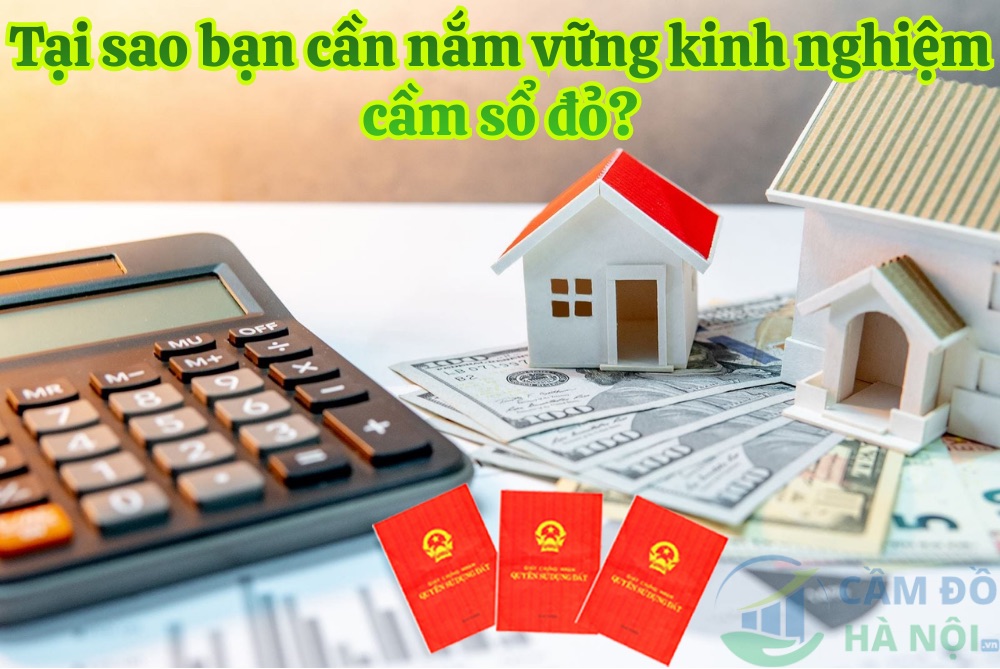 Tại Sao Bạn Cần Nắm Vững Kinh Nghiệm Cầm Sổ Đỏ?