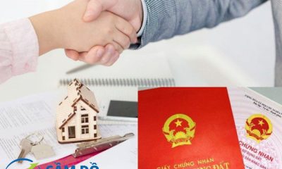 Cầm sổ đỏ ngoại tỉnh có được không? Điều kiện, thủ tục và giải pháp vay vốn an toàn