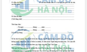 Mẫu hợp đồng cầm xe ô tô mới, chuẩn Bộ luật Dân sự 2015