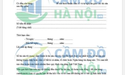 Mẫu hợp đồng cầm xe ô tô mới, chuẩn Bộ luật Dân sự 2015