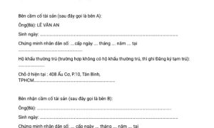 Mẫu hợp đồng cầm xe ô tô trang 1