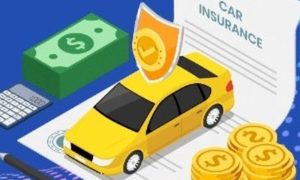 Những điều cần biết khi cầm Cmt và bằng lái xe