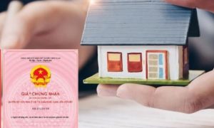 Cơ sở pháp lý về việc vay thế chấp sổ đỏ của bố mẹ