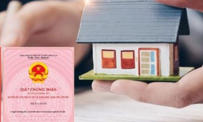 Cơ sở pháp lý về việc vay thế chấp sổ đỏ của bố mẹ