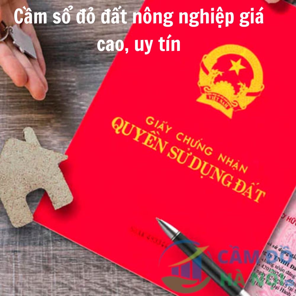 Đất Nông Nghiệp Có Cầm Được Không Và Quy Định Pháp Lý 2026