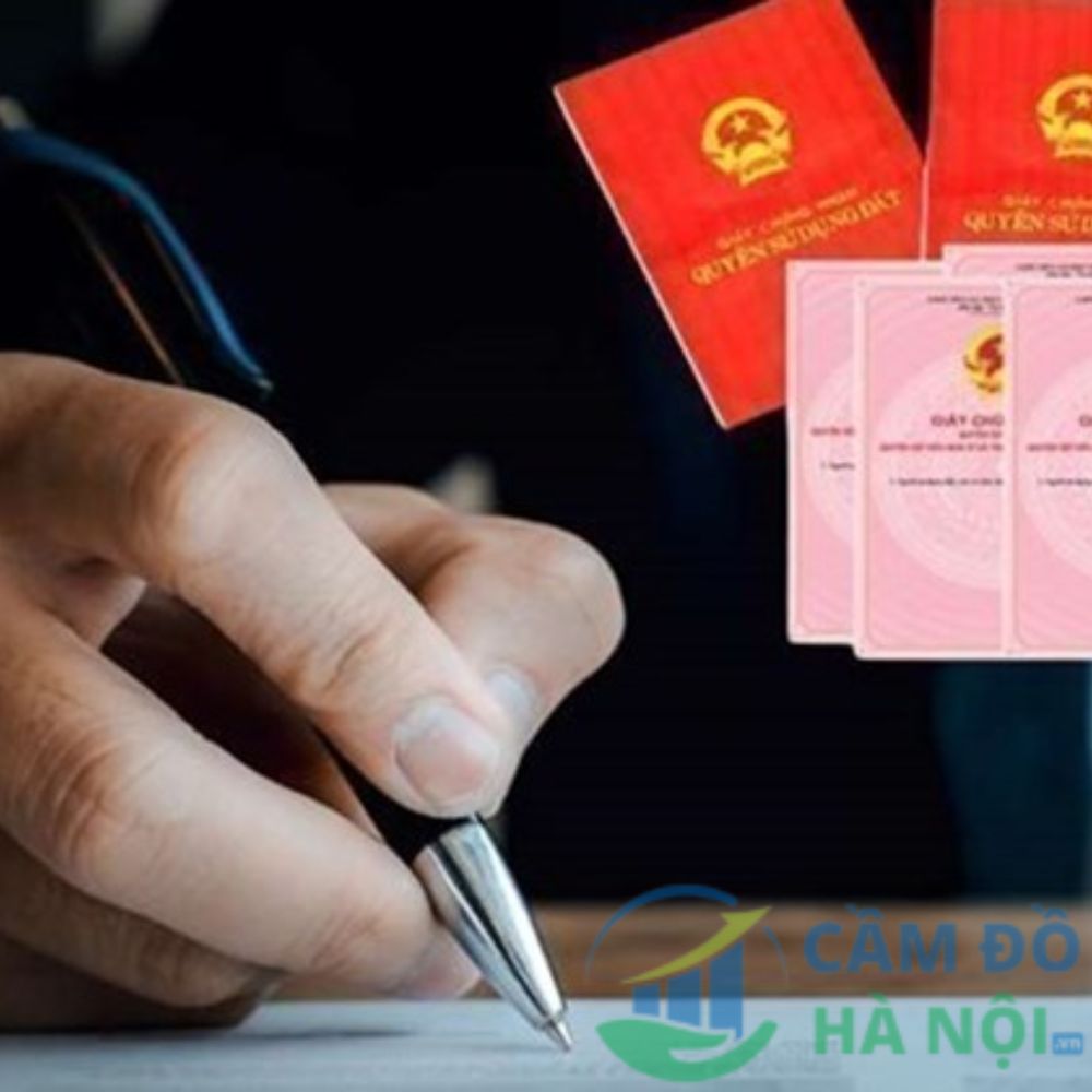 Những Lưu Ý Để Tránh Rủi Ro Mất Đất Khi Cầm Sổ Đỏ Tư Nhân