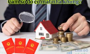 Cầm sổ đỏ có mất nhà không?